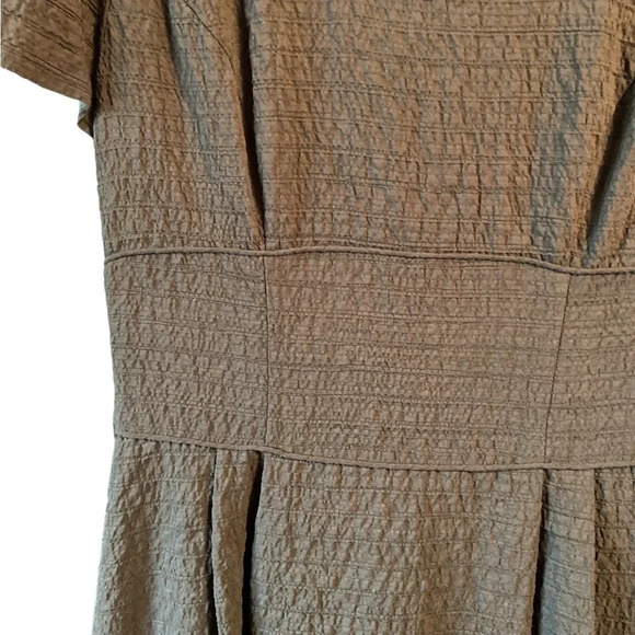 Brown Talbots dress. Thick waistband, zippered back, short sleeves. - Picture 5 of 7